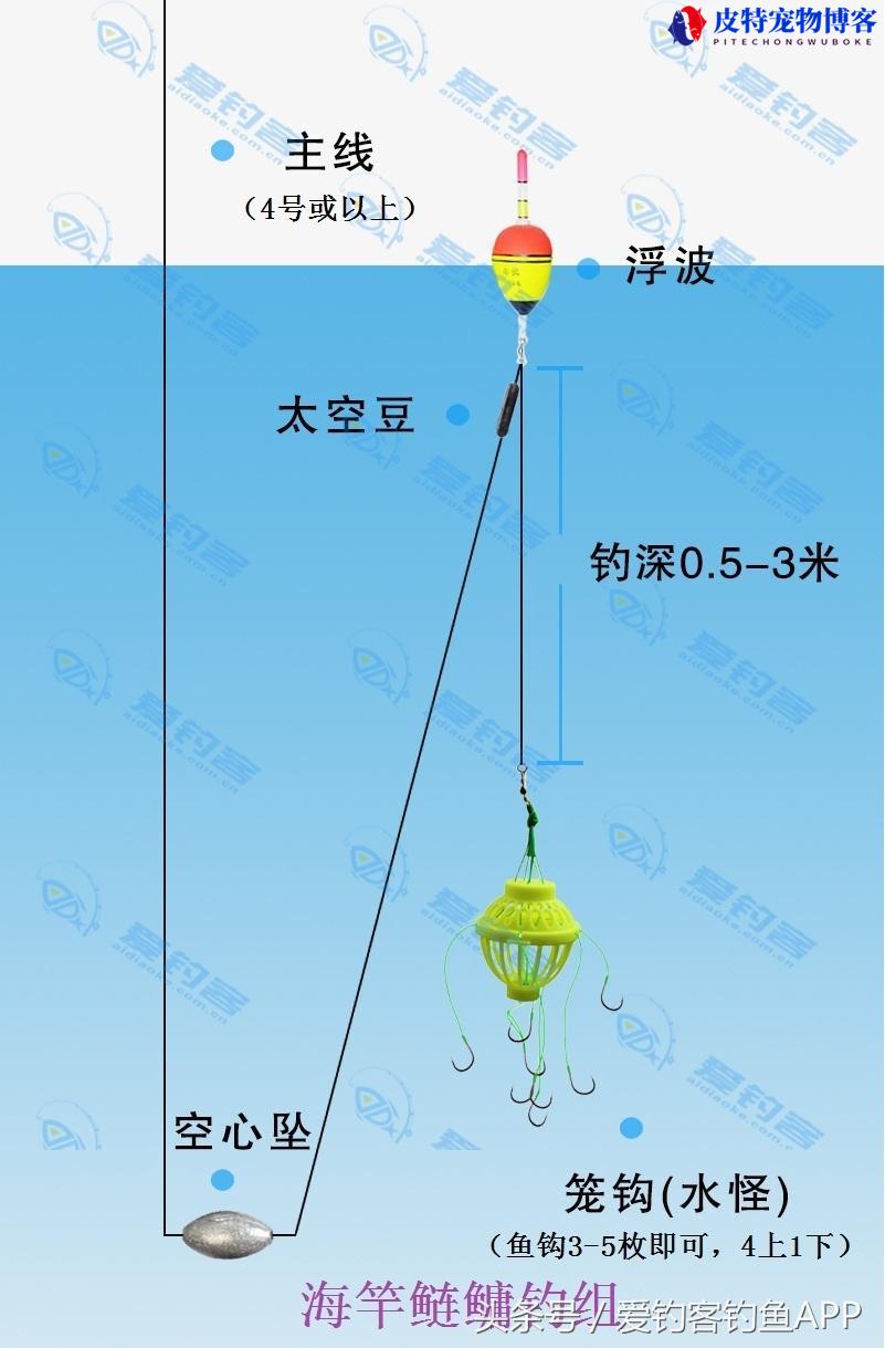 鲢鳙钓组安装方法图解，鲢鳙饵料配方绝招，海竿钓鲢鳙线组图示