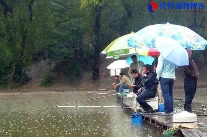 夏季阴天钓鱼钓深还是钓浅，钓底还是钓浮，闷热天气钓鱼技巧