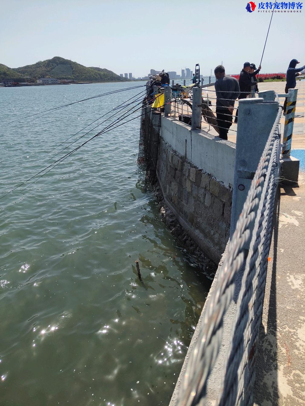 6月份钓鱼深水还是浅水好钓，钓什么鱼合适，钓水库大概钓多深