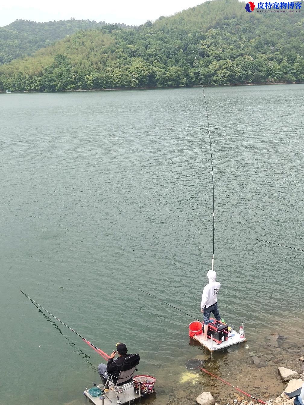 6月份钓鱼深水还是浅水好钓，钓什么鱼合适，钓水库大概钓多深