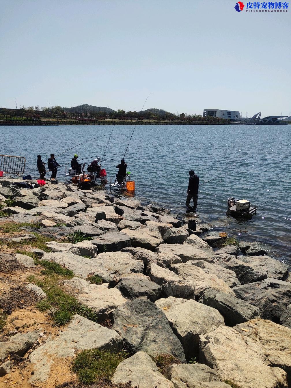 6月份钓鱼深水还是浅水好钓，钓什么鱼合适，钓水库大概钓多深