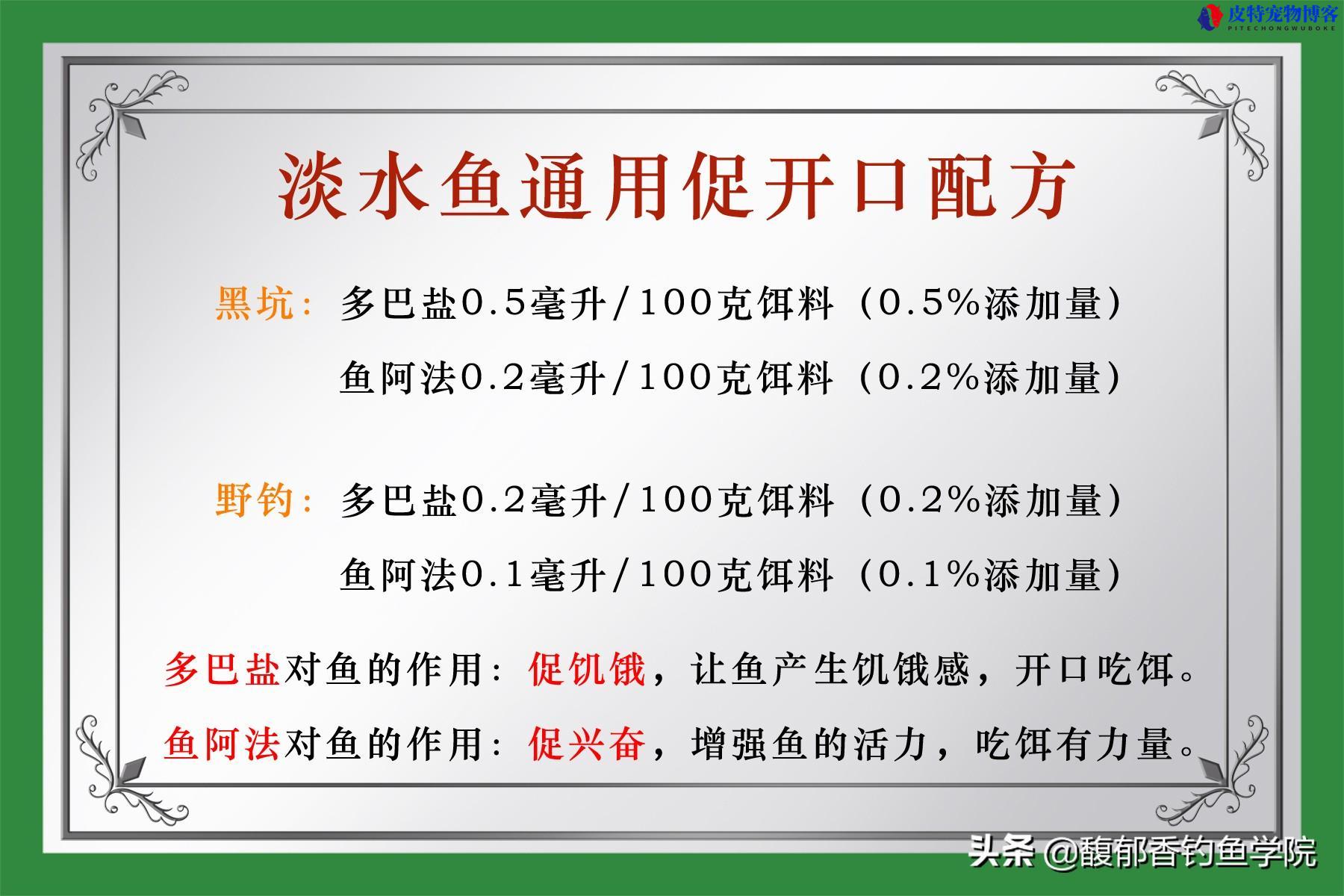 夏天野钓鲫鱼最佳配方大全，红虫好还是蚯蚓好，钓鲫鱼配什么饵料