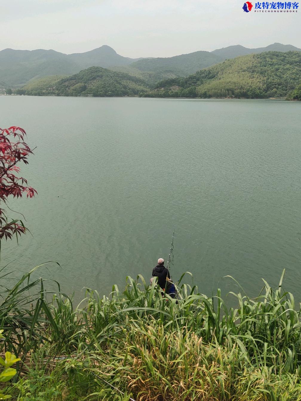 6月份钓鱼深水还是浅水好钓，钓什么鱼合适，钓水库大概钓多深