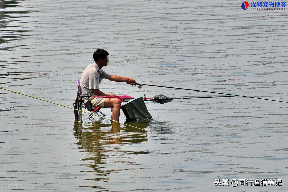 钓箱多大容量的最合适野钓，钓箱多大的实用，30升和40升钓箱买哪个