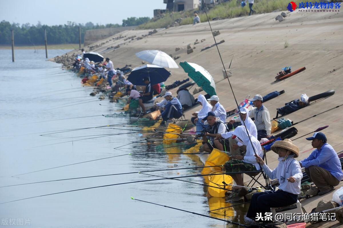 钓箱多大容量的最合适野钓，钓箱多大的实用，30升和40升钓箱买哪个