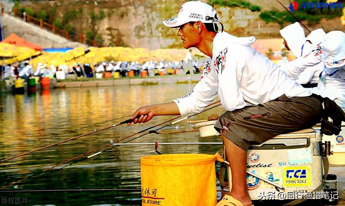 钓箱多大容量的最合适野钓，钓箱多大的实用，30升和40升钓箱买哪个