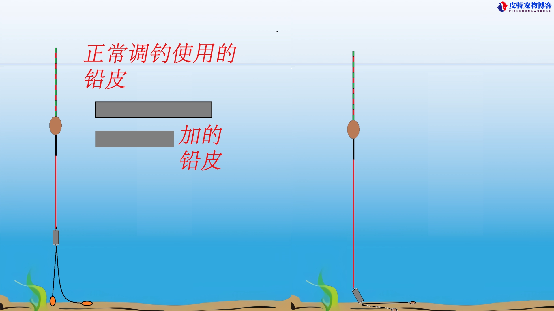 钓鱼小杂鱼闹窝怎么钓鲫鱼用七星漂，防止小杂鱼闹窝的方法