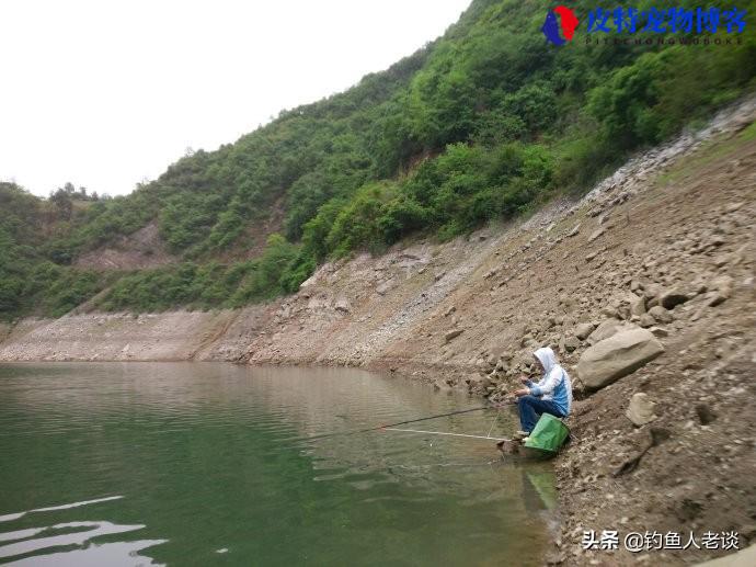 鲢鳙一天中什么时候好钓，鲢鳙几点钓，钓鲢鳙什么季节什么时间最好钓