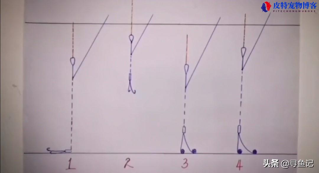 调二钓四什么意思，和调四钓二的区别，钓鱼为什么要知道钩饵重
