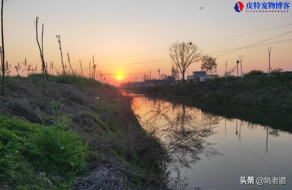 南风钓深水还是浅水，坐北岸还是南岸，为什么南风不好钓鱼