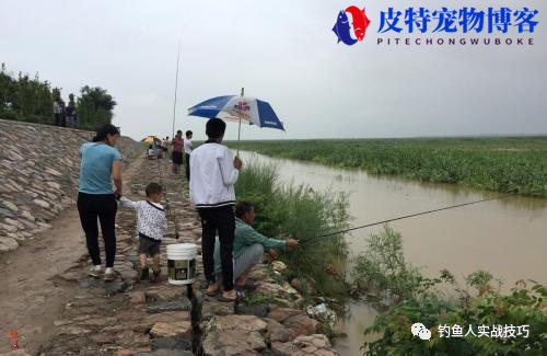 夏天几点钓鱼鱼最容易上钩，几点钓鱼比较好钓，一天之中钓鱼最好的时间段