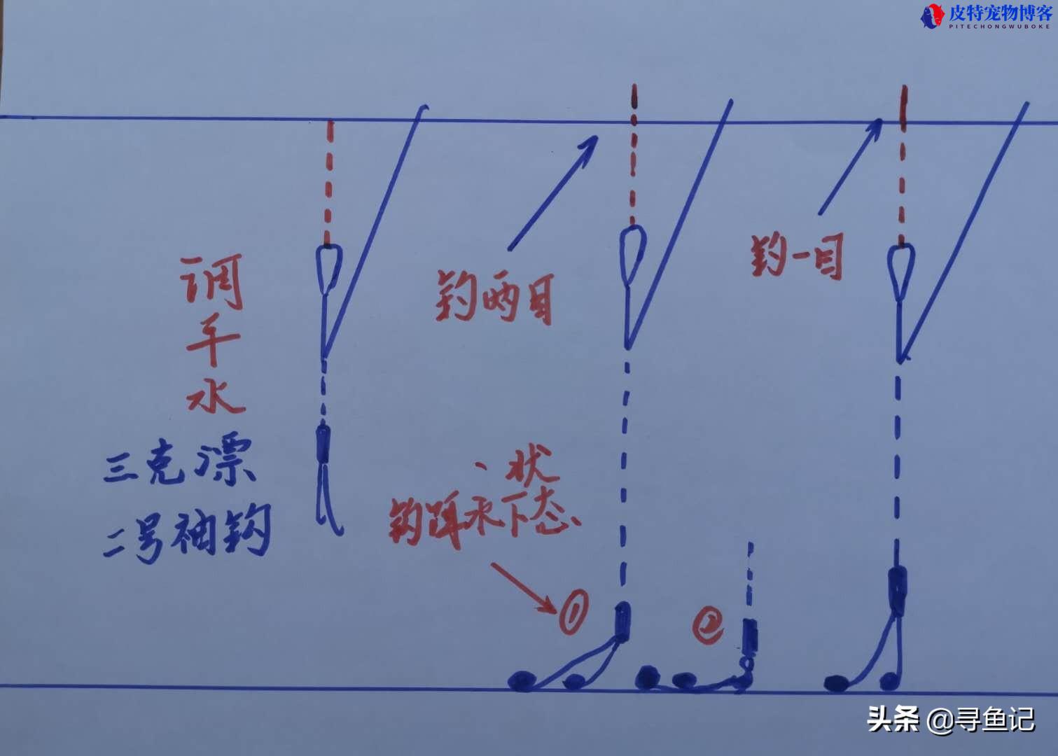 调二钓四什么意思，和调四钓二的区别，钓鱼为什么要知道钩饵重