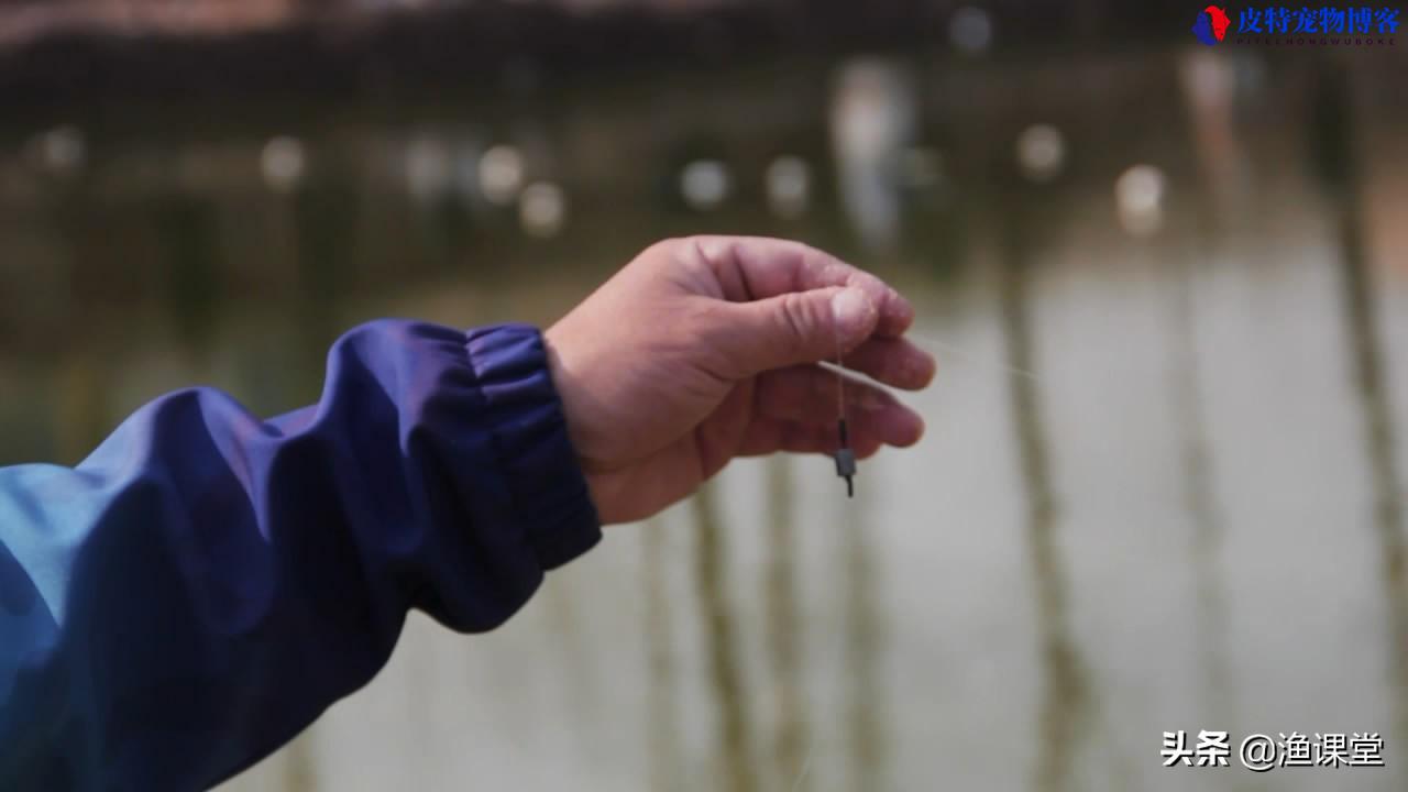 什么时候钓离底，怎样调漂，调平水怎么钓离底，钓鱼钓底的正确方法