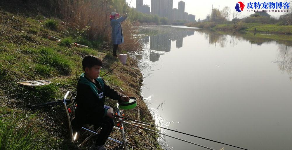 路亚餐条鱼怎么钓，钓餐条钓底还是钓浮，怎么钓大白条正确方法