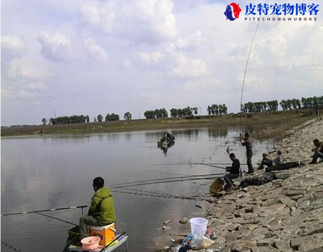 夏天阴天好钓鱼吗野钓，阴天钓鱼的优势，阴天钓鱼技巧和方法