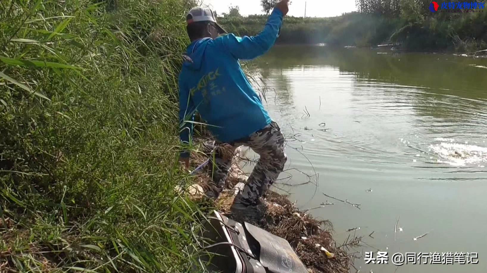 传统钓鱼竿最佳长度，一般需要买多少米，野钓用几米的竿最好用