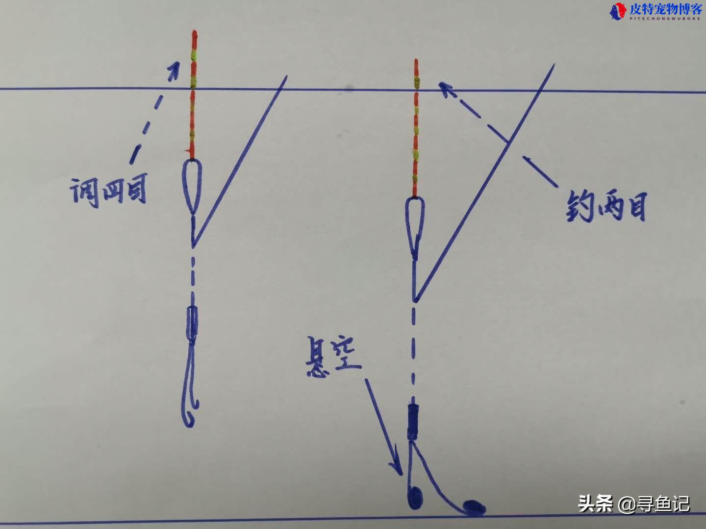 调二钓四什么意思，和调四钓二的区别，钓鱼为什么要知道钩饵重