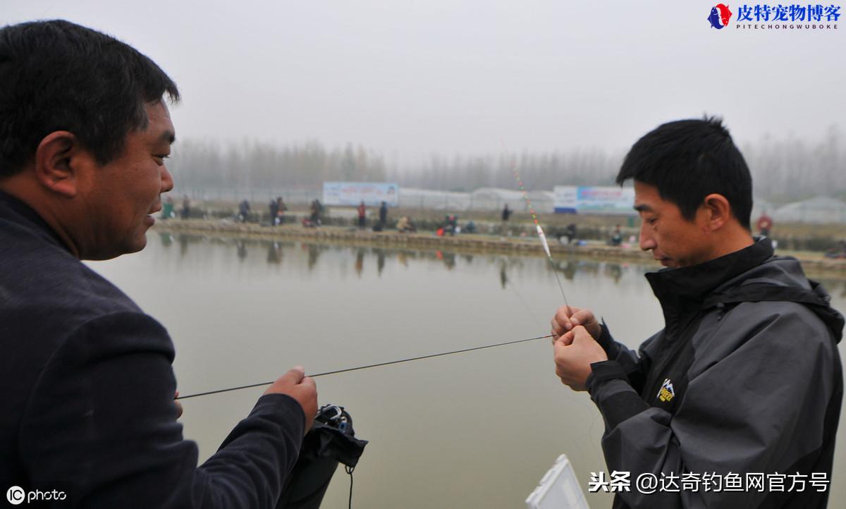 大风天气适合路亚钓鱼吗，刮风的时候怎么钓鱼