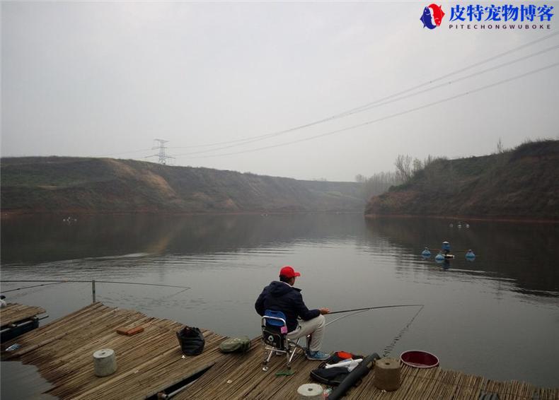 水怪钓笼怎么使用图解图片，怎么装饵料，钓鱼钓组怎么搭配