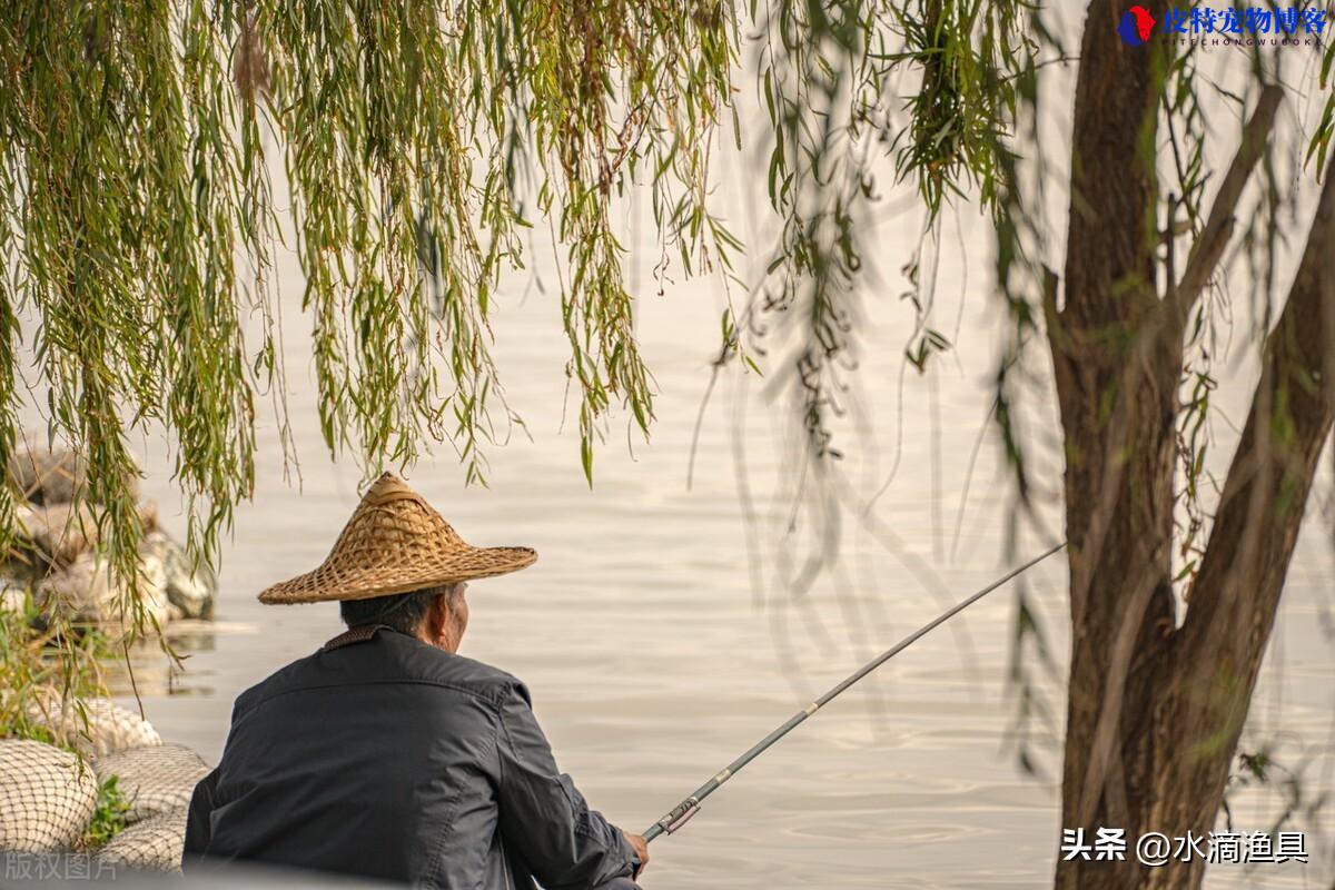 什么天气钓鱼最好上钩，野钓什么天气什么时间好钓