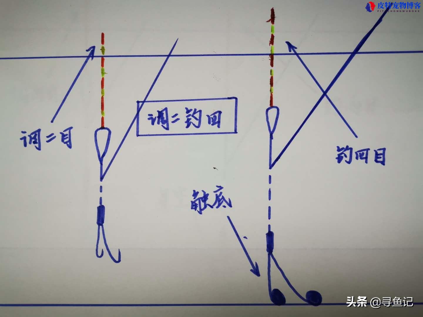 调二钓四什么意思，和调四钓二的区别，钓鱼为什么要知道钩饵重