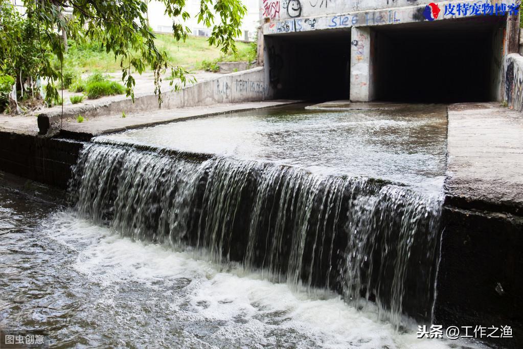 夏天下过雨好钓鱼吗，怎么钓鱼，钓鱼宁钓雨前不钓雨后对吗