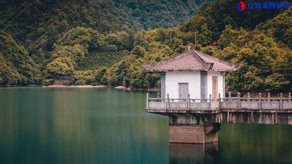 阴天垂钓浅水鱼技巧和方法，什么样的水位合适，阴天怎么钓鱼才好钓