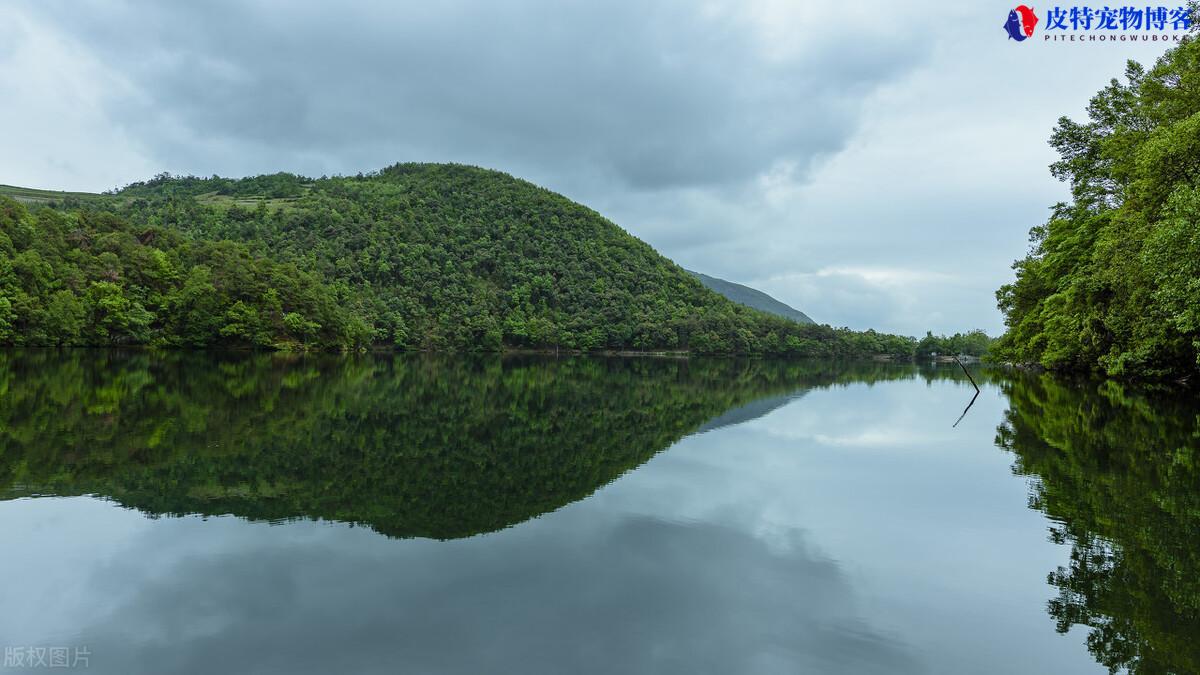 阴天垂钓浅水鱼技巧和方法，什么样的水位合适，阴天怎么钓鱼才好钓