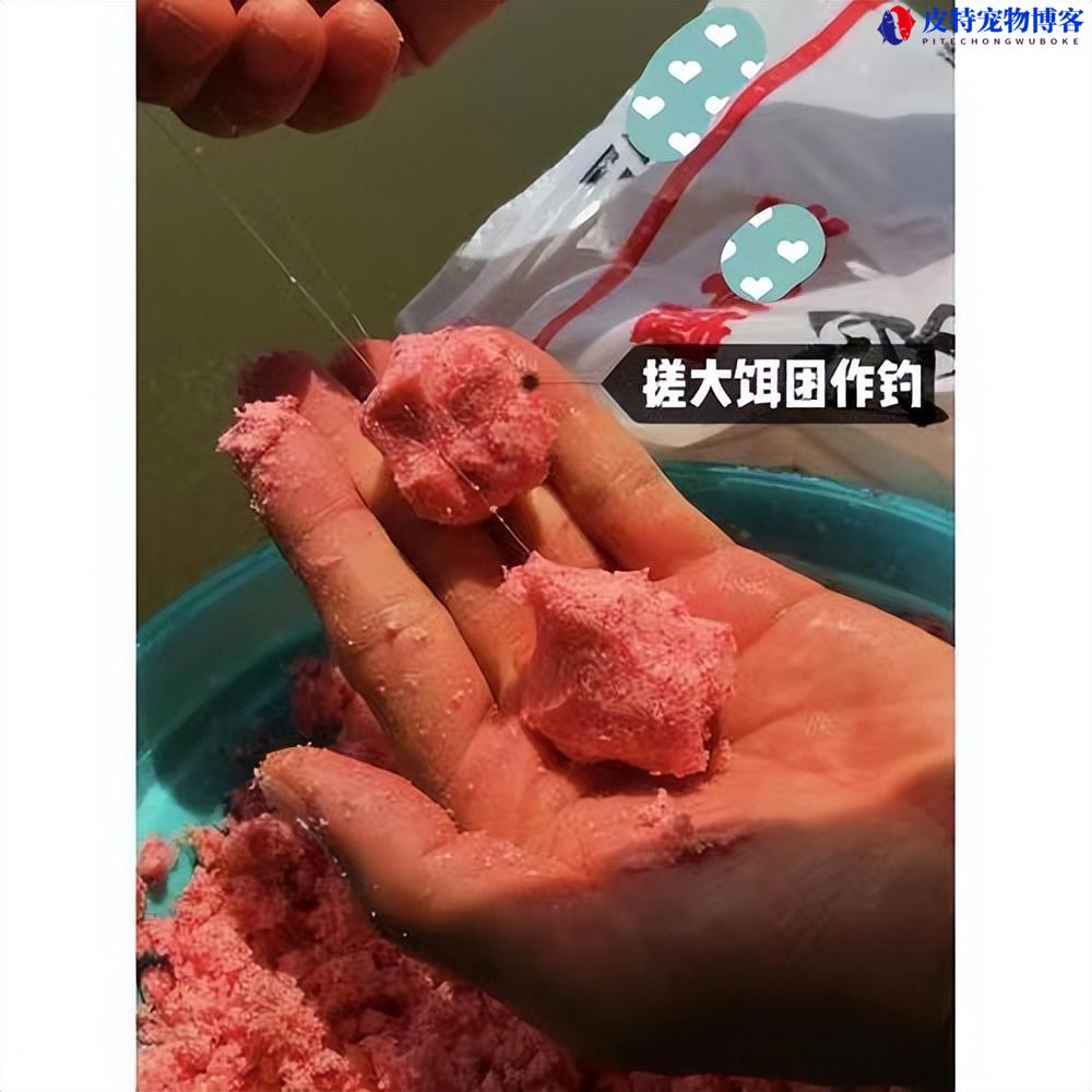 手竿钓鲢鳙子线长短钩距，多长合适，钓鲢鳙的钓饵配方是什么