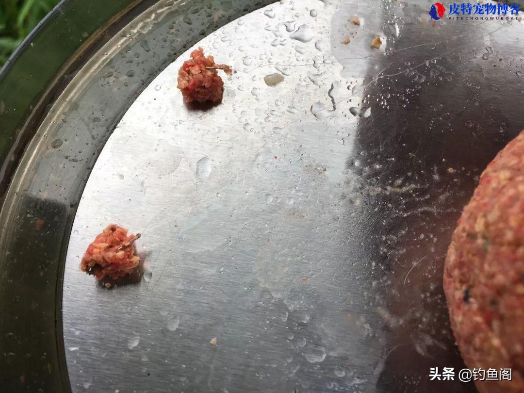 经典老三样老闹小雨钓鲫鱼怎么搭配（介绍老三样钓鲫鱼时的搭配方式和技巧）