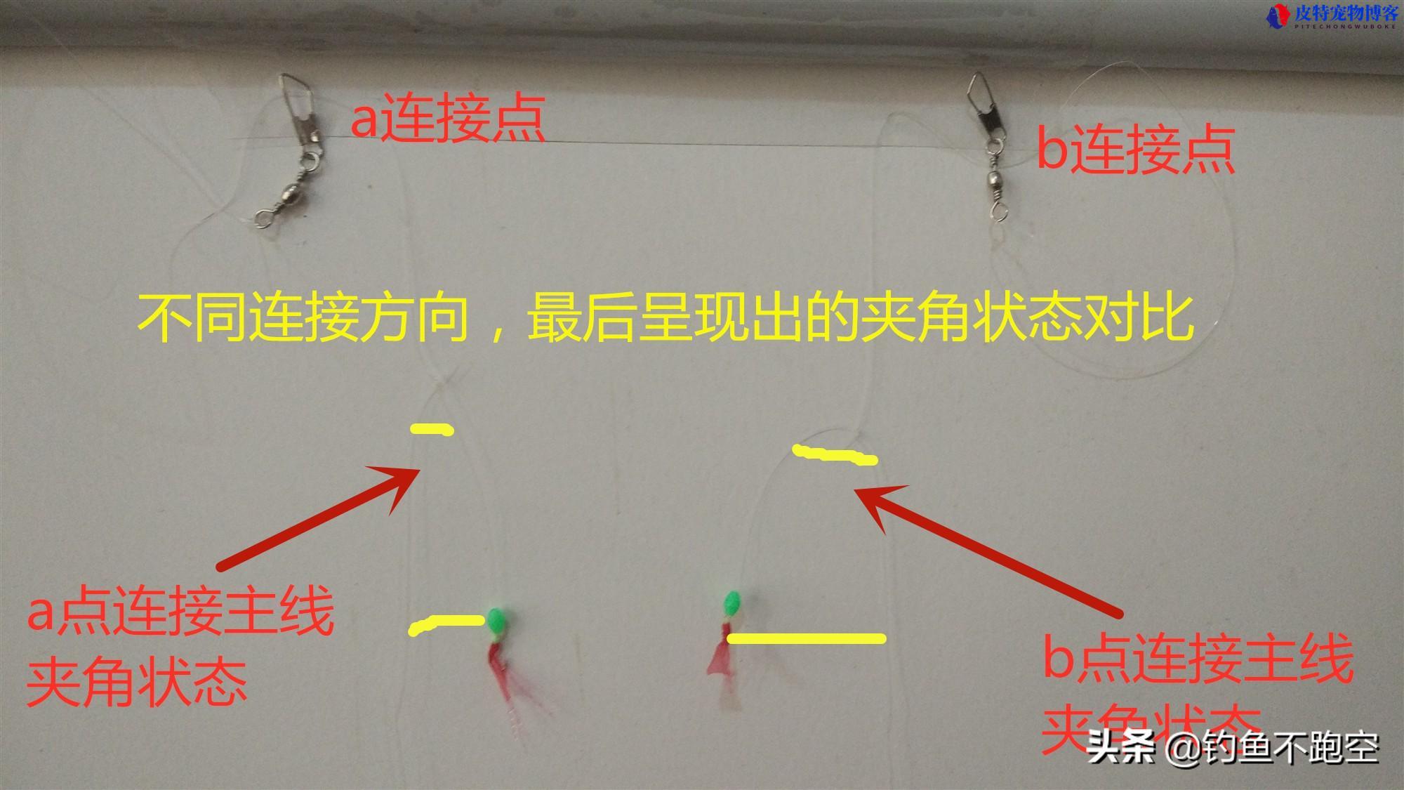 串钩怎样钓鱼才是正确的，串钩使用的方法和钓鱼以及操作