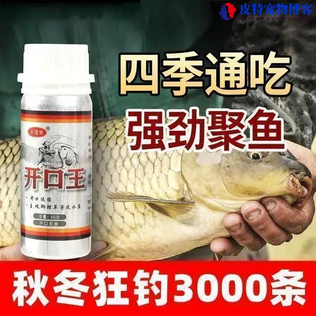 开口王钓鱼小药真的有用吗?开口剂如何使用，钓大鲤鱼的饵料有哪些种类