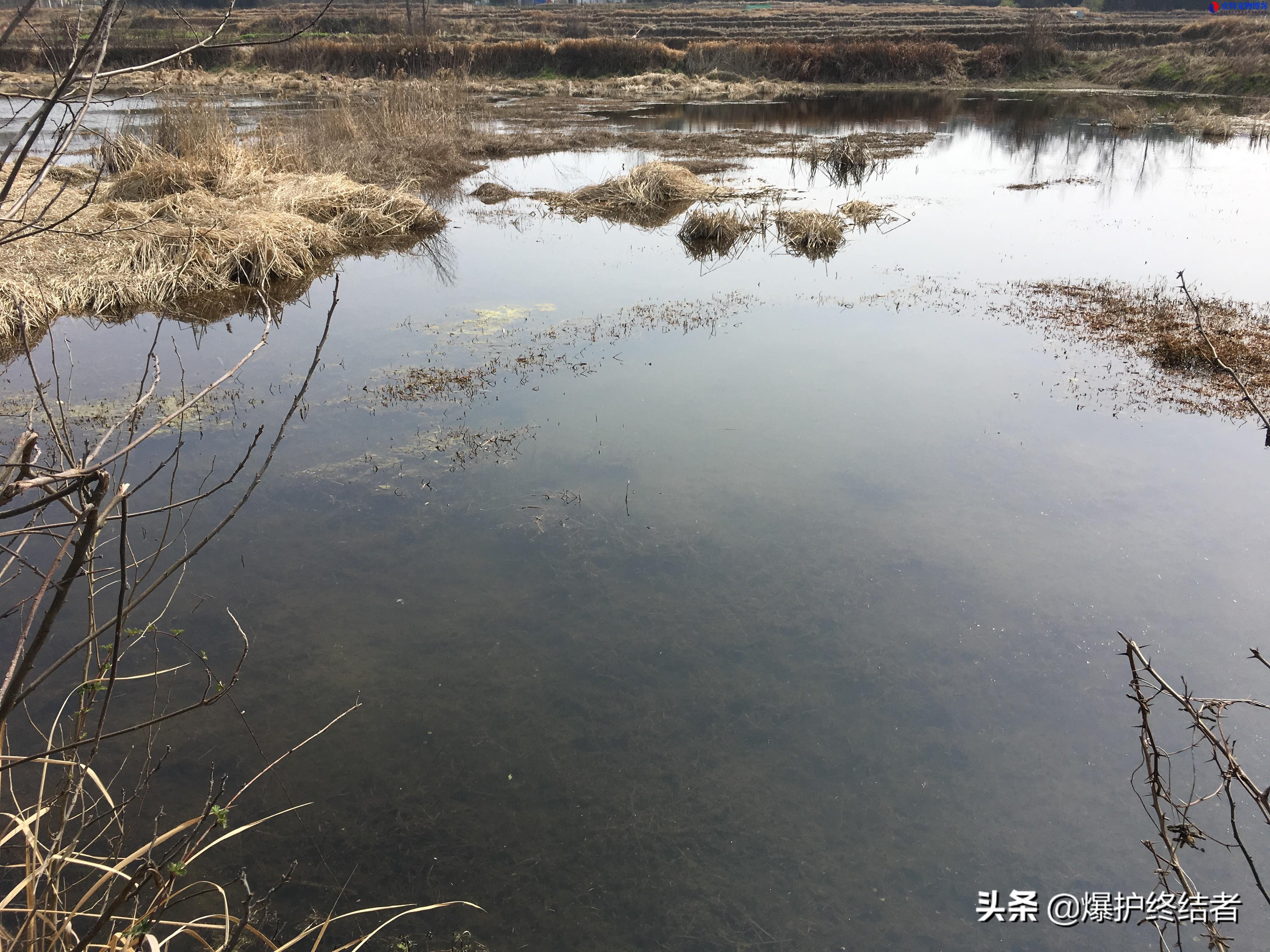 夏天钓鱼时间的最佳时间和位置（了解适合钓鱼的时间段选择）