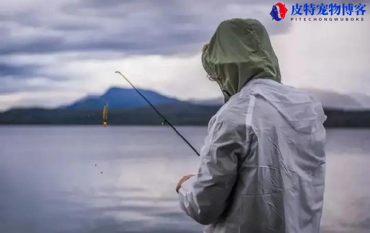 钓鲢鳙用几克浮漂,用几号钩（详细探讨钓鲢鳙时合适的浮漂重量选择）