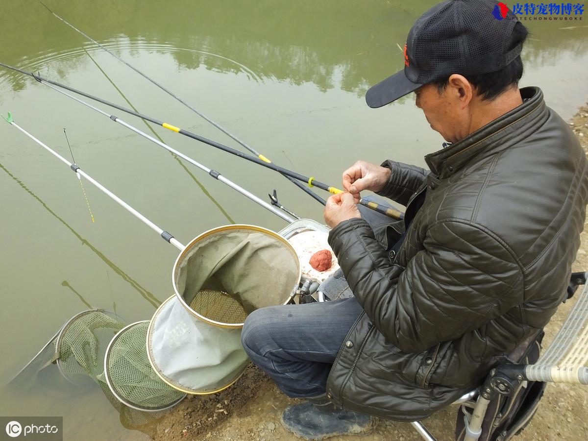 冬天钓鱼用多长的竿最好（寒冷季节钓鱼须知），冬季钓鱼技巧全知识