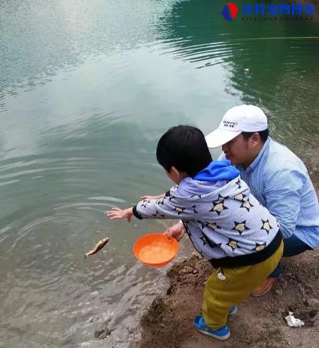 钓鲫鱼用什么窝料打窝最好 (推荐适合钓鲫鱼的最佳窝料类型和使用方法)