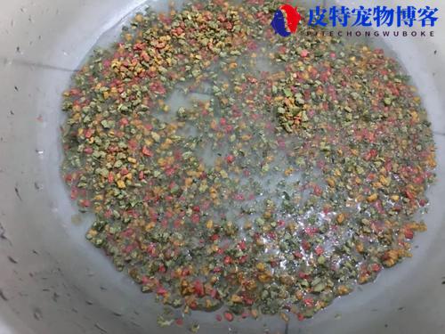 螺鲤2号野钓和什么搭配 (推荐与螺鲤2号野钓最佳搭配的其他钓具和饵料)