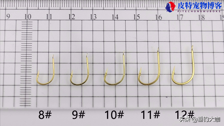 野钓大小兼顾最好用的鱼钩，伊势尼大小鱼都可以钓的用几号钩