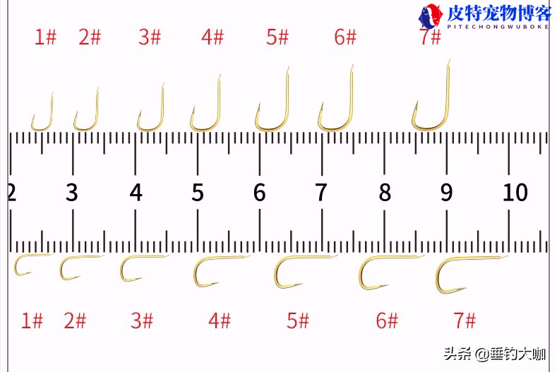 野钓大小兼顾最好用的鱼钩，伊势尼大小鱼都可以钓的用几号钩