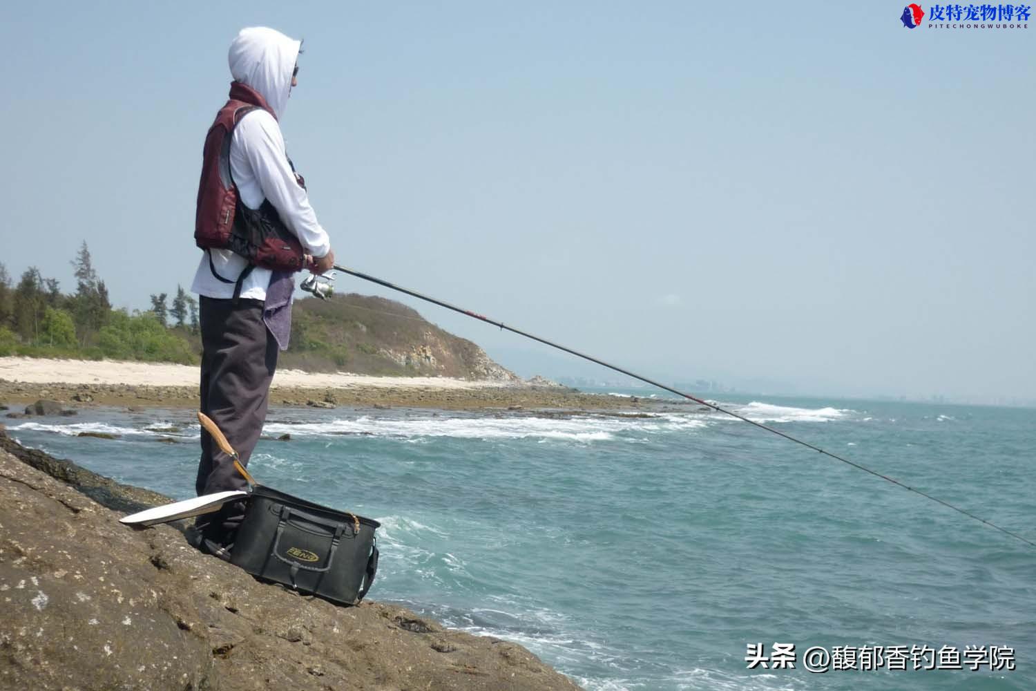 海钓技巧活虾如何挂钩，海钓收杆技巧，海钓技巧大全简单