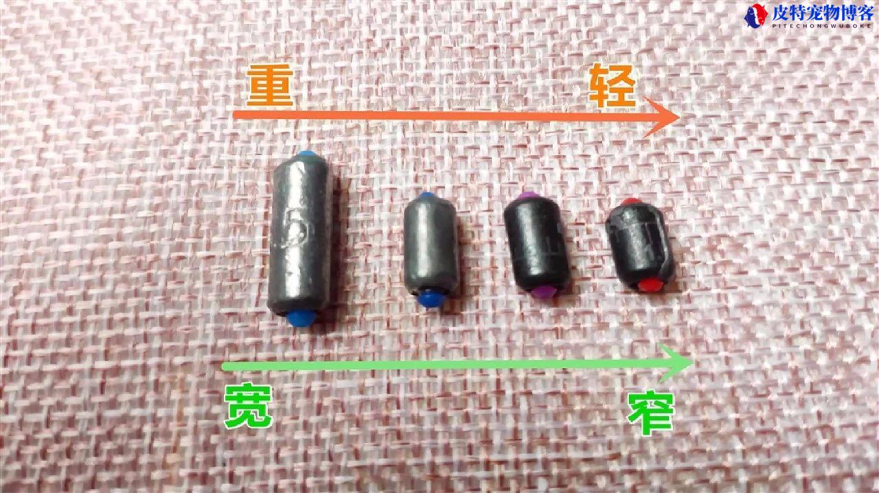 从0开始学钓鱼全集，初次学钓鱼怎么开始学，钓鱼铅皮座多大号合适