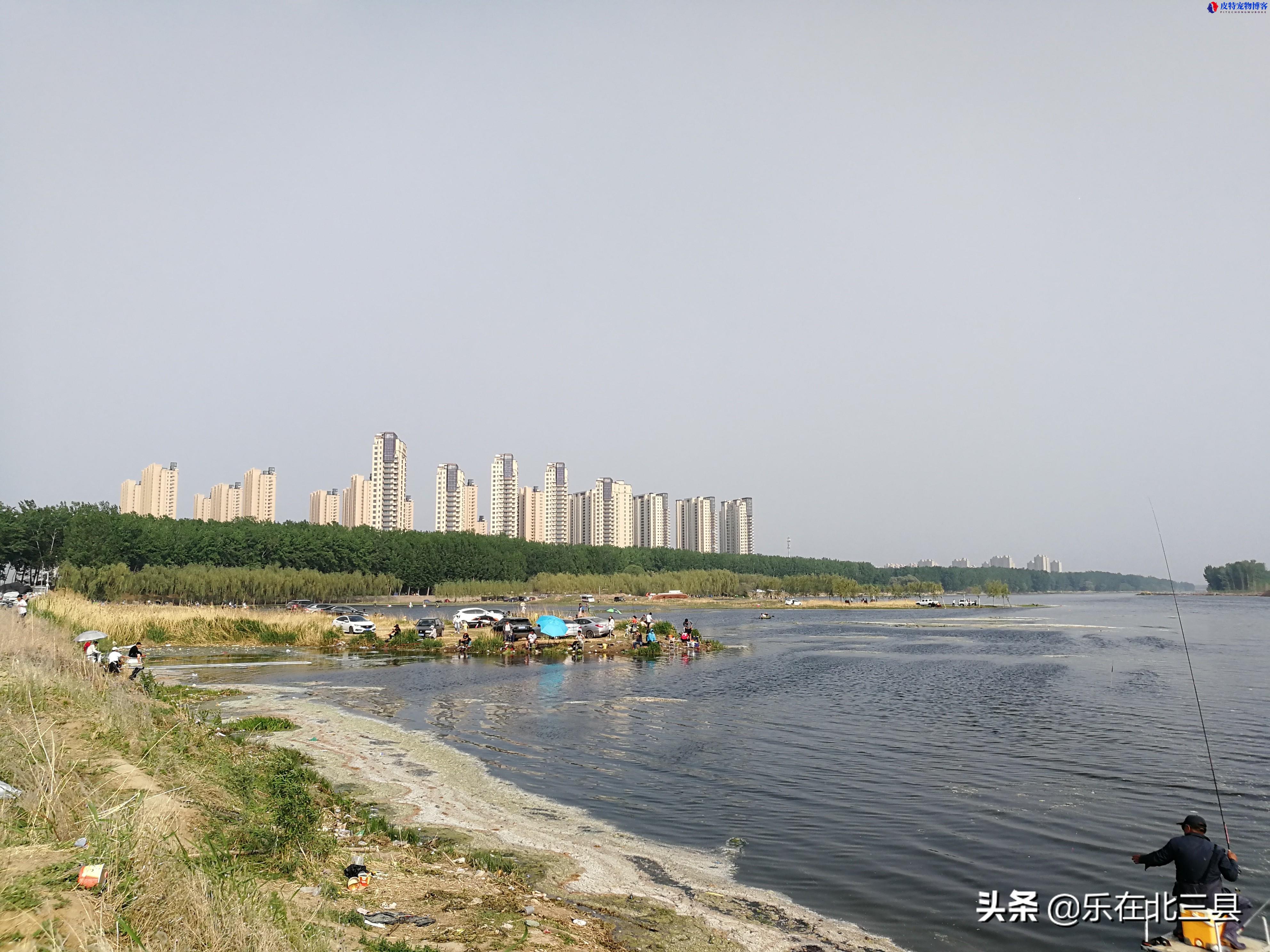 潮白河钓鱼最佳地点位置，北京潮白河钓鱼，哪段钓鱼好地方