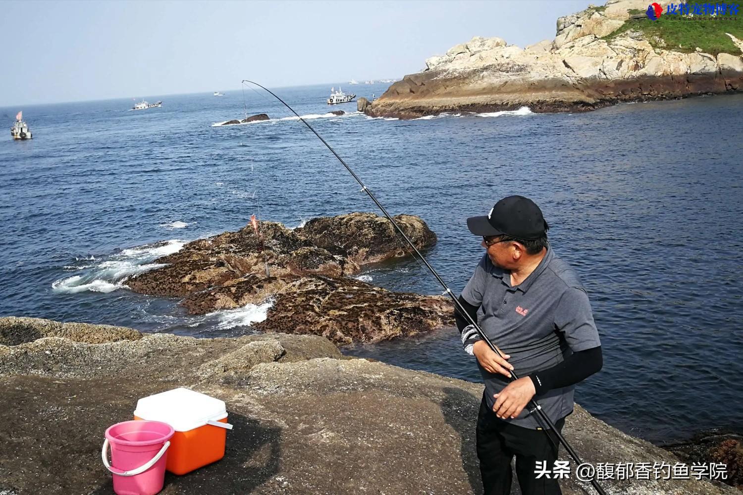 海钓技巧活虾如何挂钩，海钓收杆技巧，海钓技巧大全简单