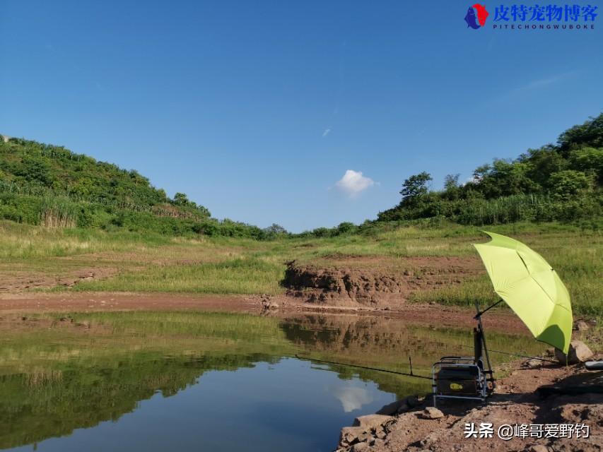 长寿湖钓鱼的最佳钓点是哪里，长寿湖钓位选择图解