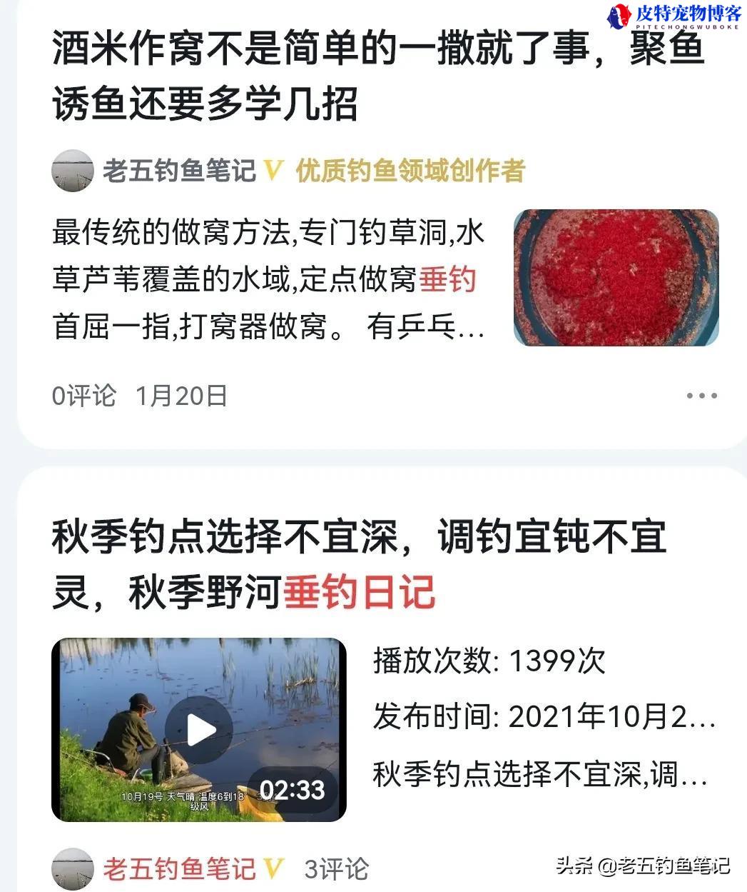 化氏钓技训练营全集怎么选择浮漂，钓鱼日常需要多少技能