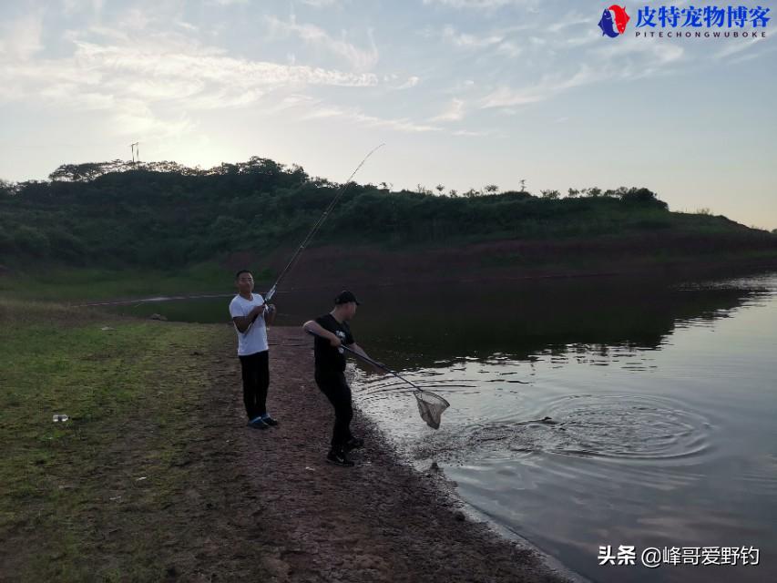 长寿湖钓鱼的最佳钓点是哪里，长寿湖钓位选择图解