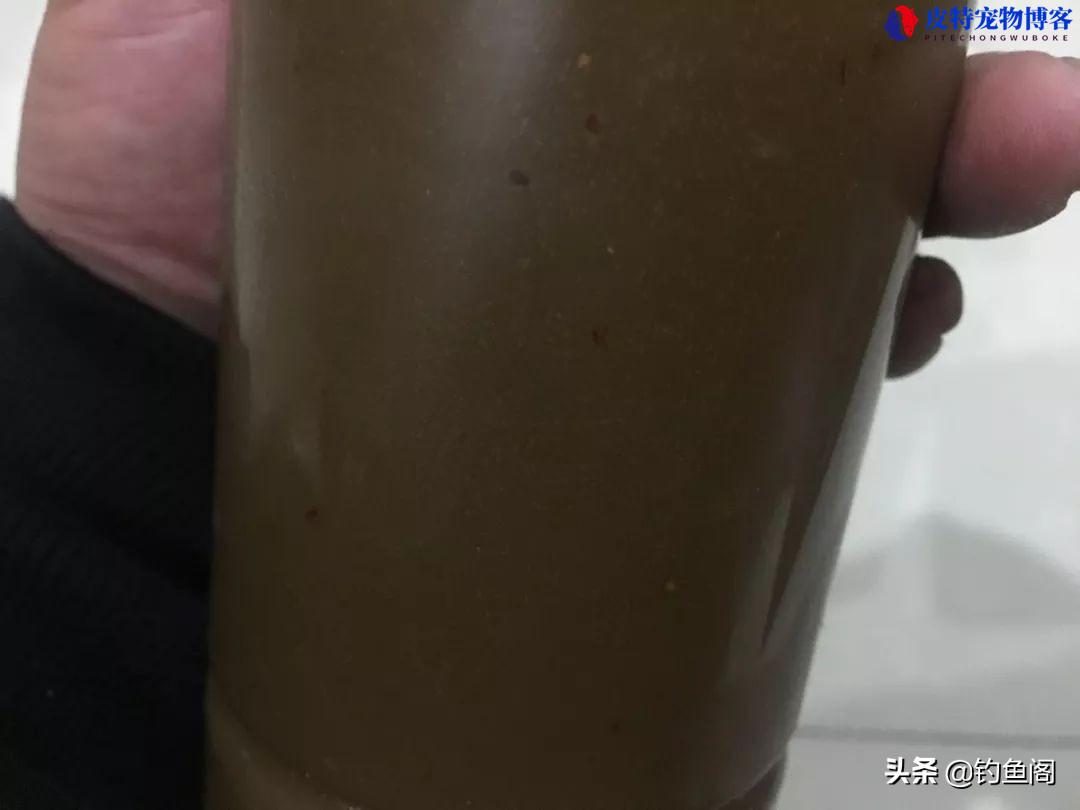 谷麦钓鲤鱼最新配方是哪些小药，谷麦钓鲤鱼窝料制作绝招