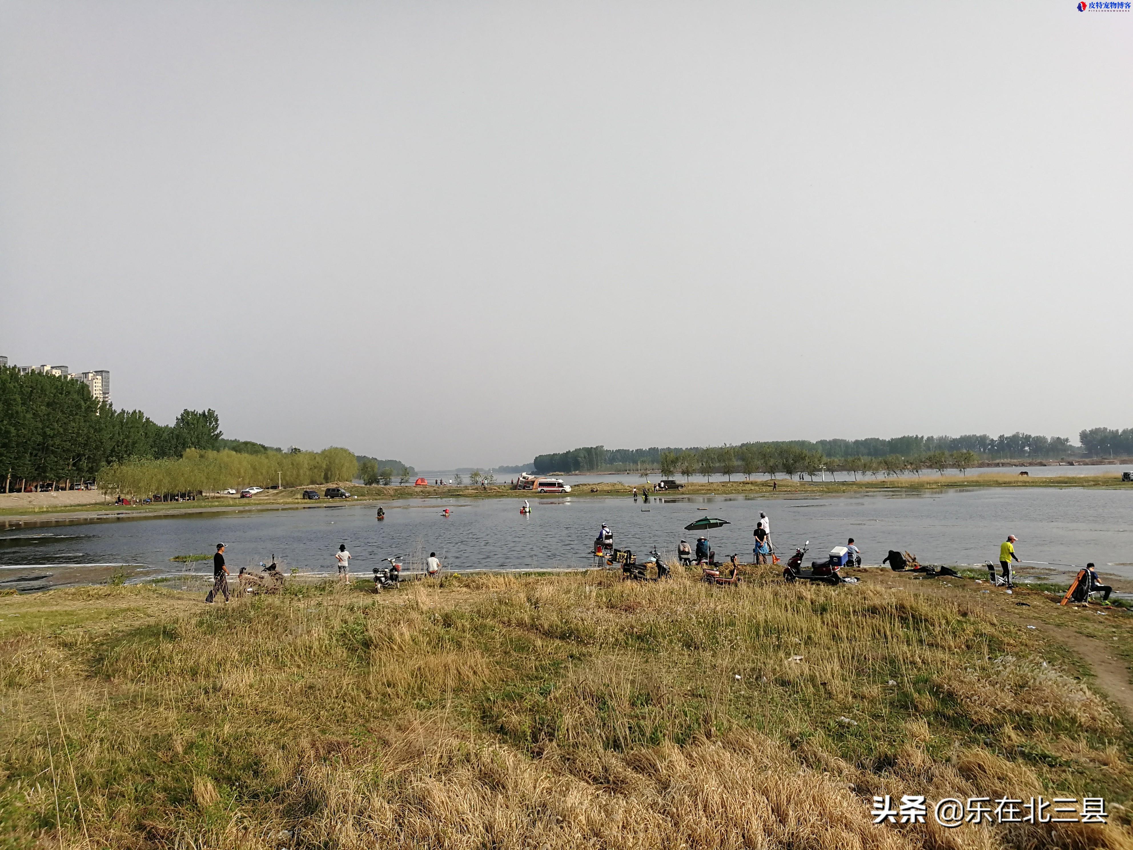 潮白河钓鱼最佳地点位置，北京潮白河钓鱼，哪段钓鱼好地方