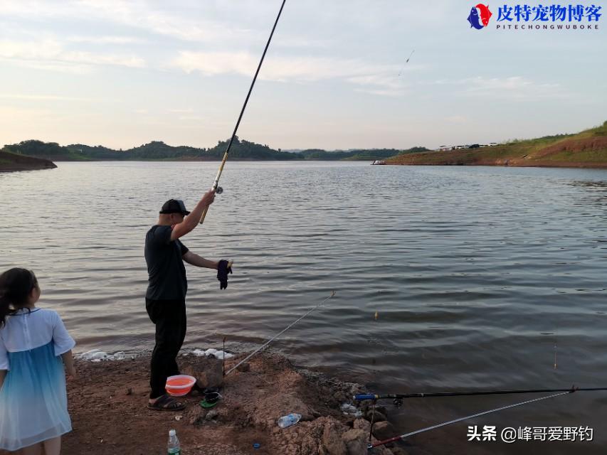 长寿湖钓鱼的最佳钓点是哪里，长寿湖钓位选择图解