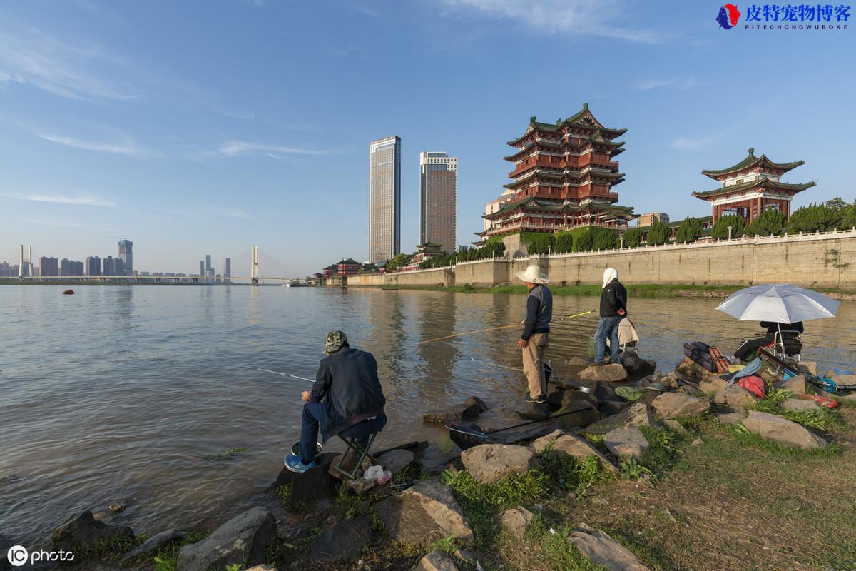 浑水钓鱼有影响吗，钓深还是钓浅，浑水好钓鱼还是清水好钓鱼